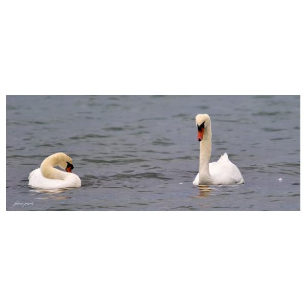 PHOTO84, CLUB, 84 , LUBERON